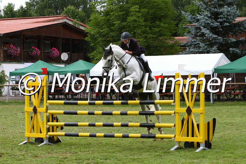 007M9618_Spring M x.JPG